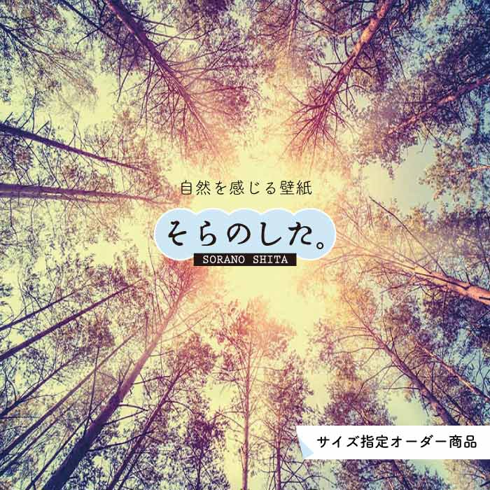 Rakuten - 【オーダー壁紙】 壁紙 森林 写真 おしゃれ 自然 癒し 貼りやすい デザイン 防カビ 日本製 国産 リメイク 模様替え 店舗 天井 部屋 寝室 キッチン リビング トイレ 風景 景色 グリーン かべがみはるこ そらのした。 【ss15420】