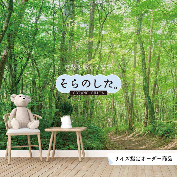 Rakuten - 【オーダー壁紙】 壁紙 森林 写真 おしゃれ 自然 癒し 貼りやすい デザイン 防カビ 日本製 国産 リメイク 模様替え 店舗 天井 部屋 寝室 キッチン リビング トイレ 風景 景色 グリーン かべがみはるこ そらのした。 【ss16603】