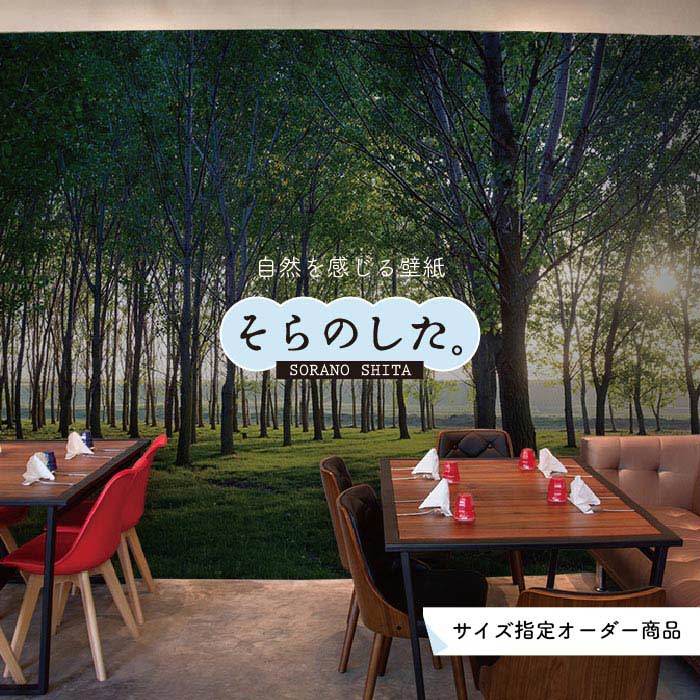 Rakuten - 【オーダー壁紙】 壁紙 森林 写真 おしゃれ 自然 癒し 貼りやすい デザイン 防カビ 日本製 国産 リメイク 模様替え 店舗 天井 部屋 寝室 キッチン リビング トイレ 風景 景色 グリーン かべがみはるこ そらのした。 【ss16606】