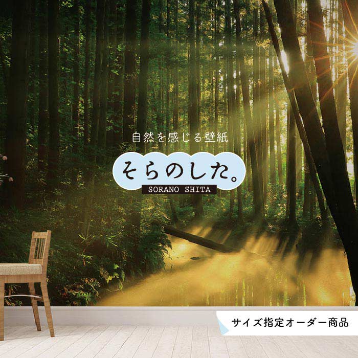 Rakuten - 【オーダー壁紙】 壁紙 森林 写真 おしゃれ 自然 癒し 貼りやすい デザイン 防カビ 日本製 国産 リメイク 模様替え 店舗 天井 部屋 寝室 キッチン リビング トイレ 風景 景色 グリーン かべがみはるこ そらのした。 【ss16612】