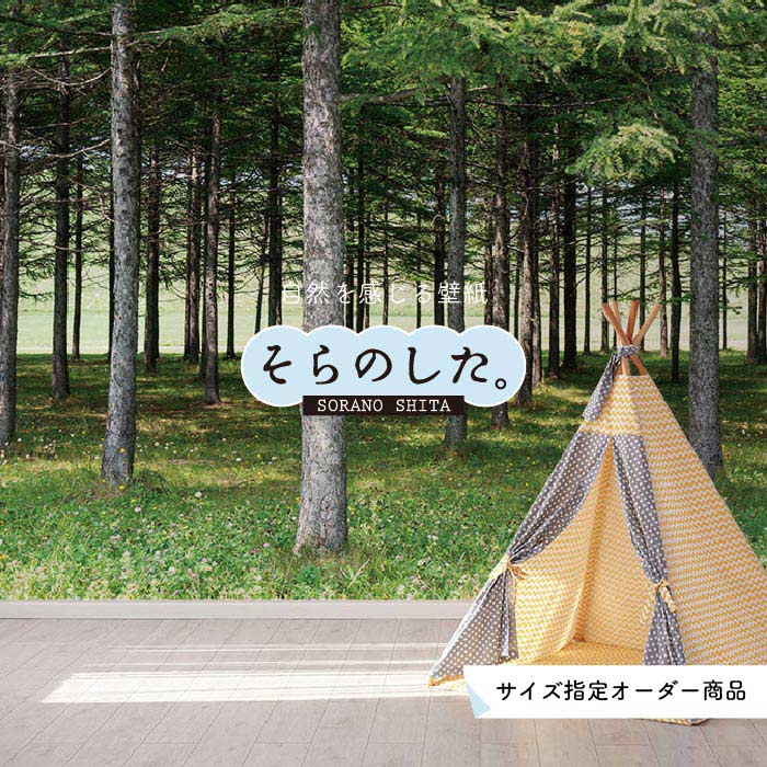 【オーダー壁紙】 壁紙 森林 写真 �
