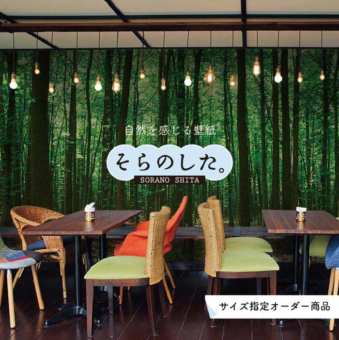 Rakuten - 【オーダー壁紙】 壁紙 森林 写真 おしゃれ 自然 癒し 貼りやすい デザイン 防カビ 日本製 国産 リメイク 模様替え 店舗 天井 部屋 寝室 キッチン リビング トイレ 風景 景色 グリーン かべがみはるこ そらのした。 【ss16617】