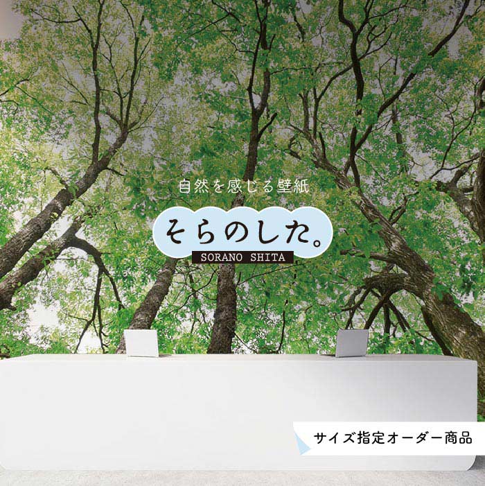 【オーダー壁紙】 壁紙 森林 写真 