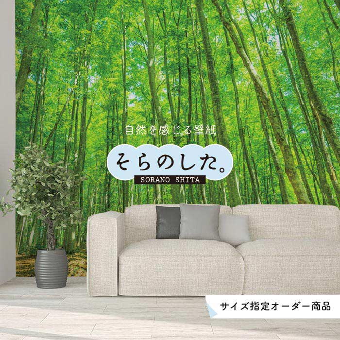 Rakuten - 【オーダー壁紙】 壁紙 森林 写真 おしゃれ 自然 癒し 貼りやすい デザイン 防カビ 日本製 国産 リメイク 模様替え 店舗 天井 部屋 寝室 キッチン リビング トイレ 風景 景色 グリーン かべがみはるこ そらのした。 【ss16621】