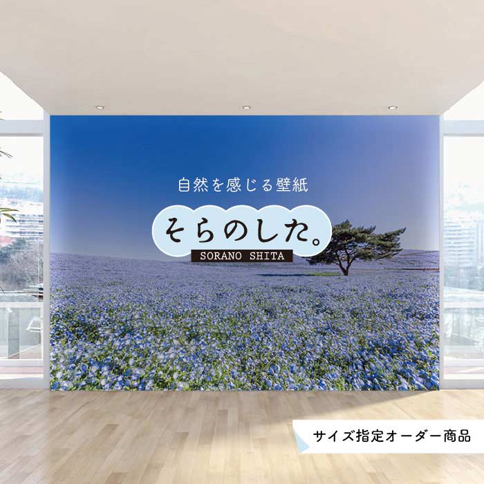 【オーダー壁紙】 壁紙 写真 花 植物 ネモフィラ おしゃれ ボタニカル 爽やか ブルー 貼りやすい 自然 防カビ 日本製 国産 リメイク 模様替え 店 天井 部屋 寝室 キッチン リビング トイレ 風景 景色 かべがみはるこ そらのした。のサムネイル