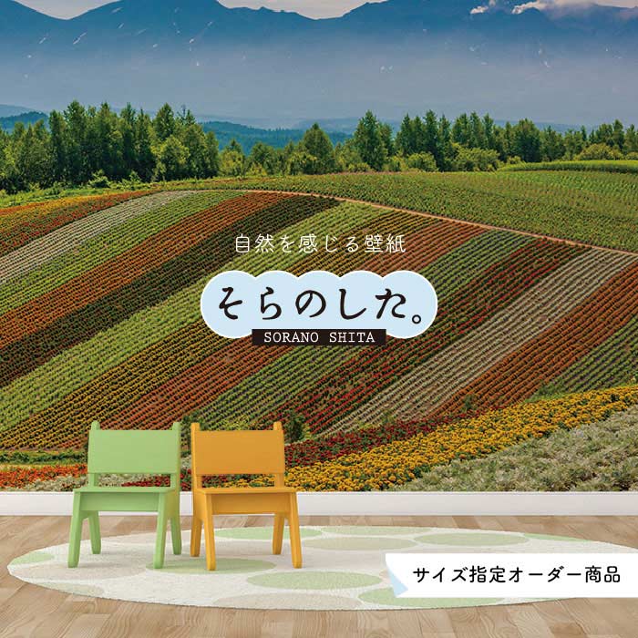 乐天商城 - 【オーダー壁紙】 壁紙 写真 花 植物 おしゃれ ボタニカル 貼りやすい 自然 防カビ 日本製 国産 リメイク 模様替え 店 天井 部屋 寝室 キッチン リビング トイレ 風景 景色 かべがみはるこ そらのした。