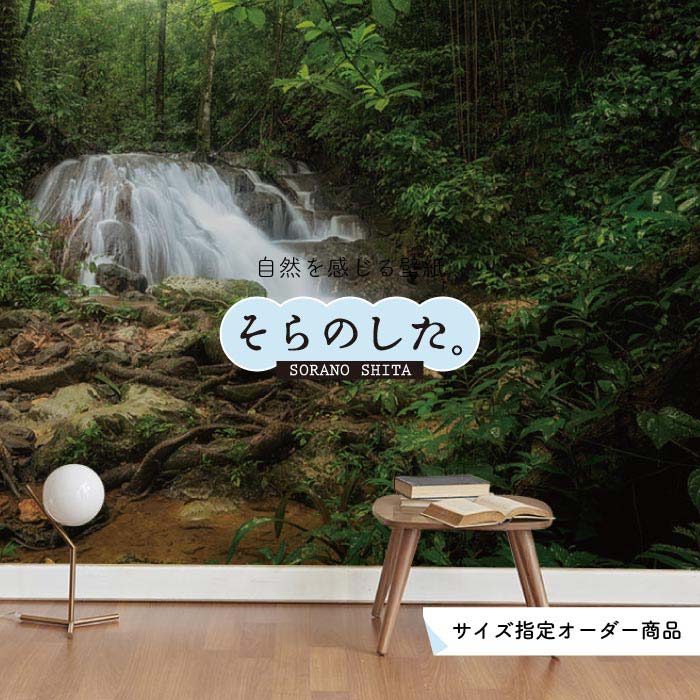Rakuten - 【オーダー壁紙】 壁紙 ジャングル 森 森林 写真 おしゃれ 自然 癒し 貼りやすい デザイン 防カビ 日本製 国産 リメイク 模様替え 店舗 天井 部屋 寝室 キッチン リビング トイレ 風景 景色 グリーン かべがみはるこ そらのした。 【ss16667】