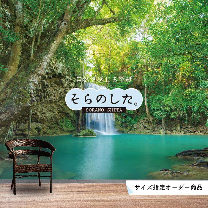 Rakuten - 【オーダー壁紙】 壁紙 ジャングル 森 森林 写真 おしゃれ 自然 癒し 貼りやすい デザイン 防カビ 日本製 国産 リメイク 模様替え 店舗 天井 部屋 寝室 キッチン リビング トイレ 風景 景色 グリーン かべがみはるこ そらのした。