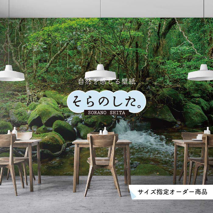 Rakuten - 【オーダー壁紙】 壁紙 ジャングル 森 森林 写真 おしゃれ 自然 癒し 貼りやすい デザイン 防カビ 日本製 国産 リメイク 模様替え 店舗 天井 部屋 寝室 キッチン リビング トイレ 風景 景色 グリーン かべがみはるこ そらのした。 【ss16671】