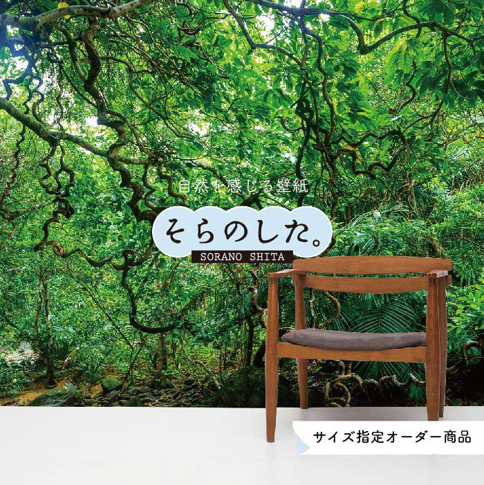 Rakuten - 【オーダー壁紙】 壁紙 ジャングル 森 森林 写真 おしゃれ 自然 癒し 貼りやすい デザイン 防カビ 日本製 国産 リメイク 模様替え 店舗 天井 部屋 寝室 キッチン リビング トイレ 風景 景色 グリーン かべがみはるこ そらのした。 【ss16672】