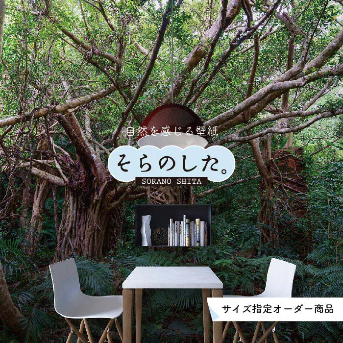 Rakuten - 【オーダー壁紙】 壁紙 ジャングル 森 森林 写真 おしゃれ 自然 癒し 貼りやすい デザイン 防カビ 日本製 国産 リメイク 模様替え 店舗 天井 部屋 寝室 キッチン リビング トイレ 風景 景色 グリーン かべがみはるこ そらのした。 【ss16673】