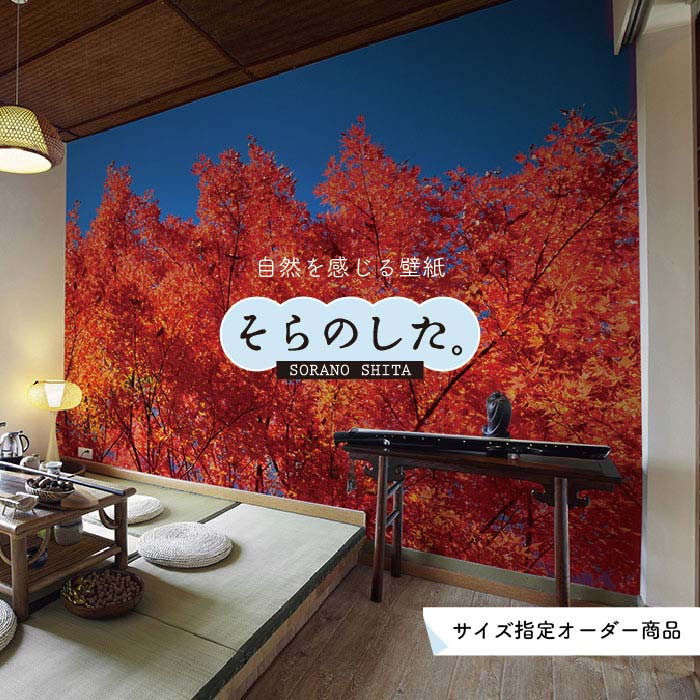 Rakuten - 【オーダー壁紙】 壁紙 紅葉 秋 季節 森林 写真 おしゃれ 自然 貼りやすい デザイン 防カビ 日本製 国産 リメイク 模様替え 店 天井 部屋 寝室 キッチン リビング トイレ 秋景 景色 赤 黄 かべがみはるこ そらのした。 【ss16720】