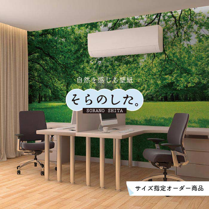乐天商城 - 【オーダー壁紙】 壁紙 森林 写真 おしゃれ 自然 癒し 貼りやすい デザイン 防カビ 日本製 国産 リメイク 模様替え 店舗 天井 部屋 寝室 キッチン リビング トイレ 風景 景色 グリーン かべがみはるこ そらのした。 【ss16727】