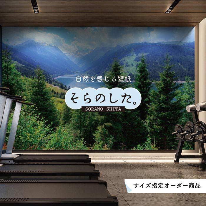 Rakuten - 【オーダー壁紙】 壁紙 森林 写真 おしゃれ 自然 癒し 貼りやすい デザイン 防カビ 日本製 国産 リメイク 模様替え 店舗 天井 部屋 寝室 キッチン リビング トイレ 風景 景色 グリーン かべがみはるこ そらのした。 【ss16728】