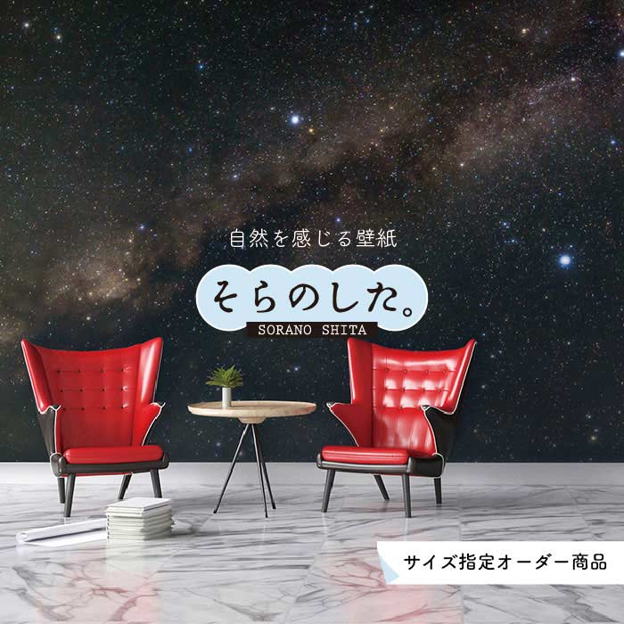 Rakuten - 【オーダー壁紙】 壁紙 星 空 星柄 おしゃれ 写真 プラネタリウム 自然 夜空 貼りやすい インテリア デザイン 防カビ 日本製 国産 リメイク 模様替え 店舗 天井 部屋 寝室 キッチン リビング トイレ 美しい 風景 景色 かべがみはるこ そらのした。