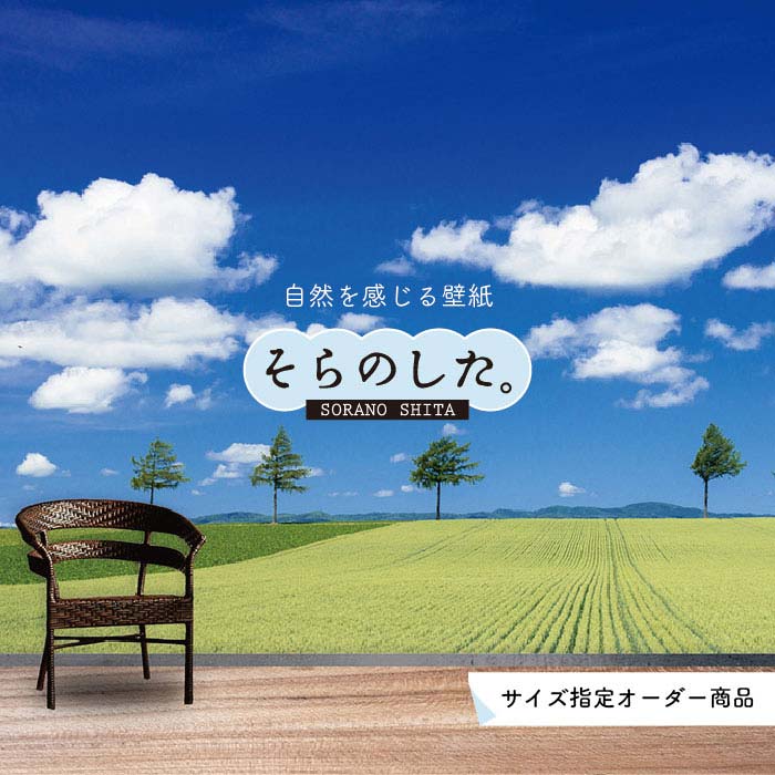 Rakuten - 【オーダー壁紙】 壁紙 草原 写真 おしゃれ 自然 グリーン 平原 畑 原っぱ 空 雲 開放的 貼りやすい デザイン 防カビ 日本製 国産 リメイク 模様替え 店 天井 部屋 寝室 キッチン リビング トイレ 風景 景色 かべがみはるこ そらのした。