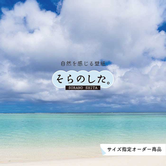 乐天商城 - 【オーダー壁紙】 壁紙 海 写真 おしゃれ 自然 空 ビーチ リゾート 海岸 砂浜 マリン 貼りやすい デザイン 防カビ 日本製 国産 アクセントクロス リメイク 模様替え 店舗 内装 部屋 寝室 キッチン リビング トイレ 風景 景色 ブルー かべがみはるこ そらのした。