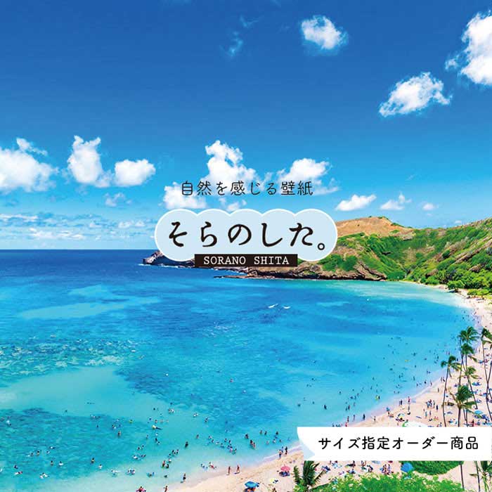 Rakuten - 【オーダー壁紙】 壁紙 海 写真 おしゃれ 自然 空 ビーチ リゾート 海岸 砂浜 マリン 貼りやすい デザイン 防カビ 日本製 国産 アクセントクロス リメイク 模様替え 店舗 内装 部屋 寝室 キッチン リビング トイレ 風景 景色 ブルー かべがみはるこ そらのした。