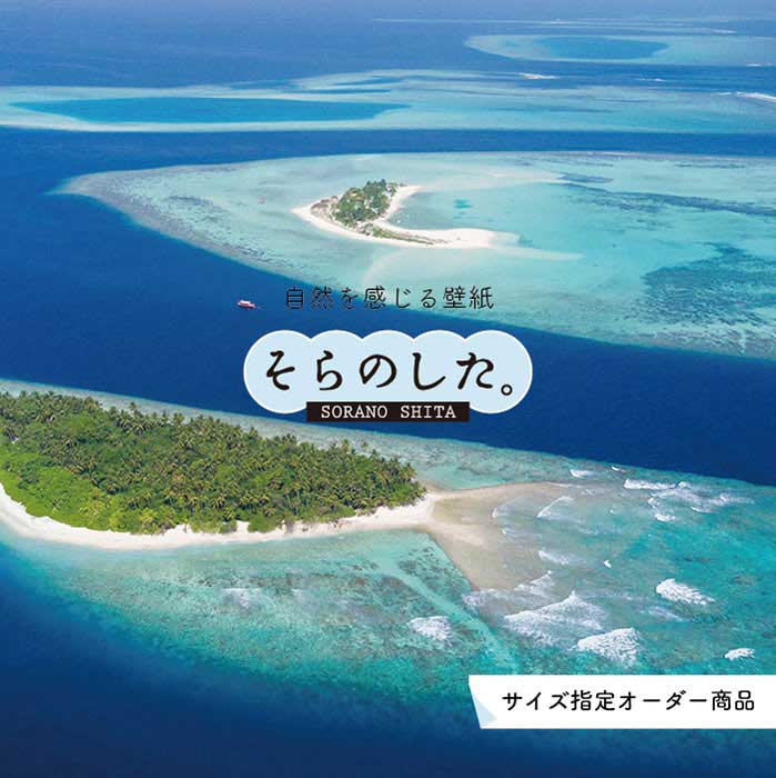 乐天商城 - 【オーダー壁紙】 壁紙 海 写真 おしゃれ 自然 空 ビーチ リゾート 海岸 砂浜 マリン 空中写真 貼りやすい デザイン 防カビ 日本製 国産 アクセントクロス リメイク 模様替え 店舗 内装 部屋 寝室 キッチン リビング トイレ 風景 景色 ブルー かべがみはるこ そらのした。