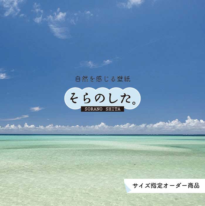 乐天商城 - 【オーダー壁紙】 壁紙 海 写真 おしゃれ 自然 空 ビーチ リゾート 海岸 砂浜 マリン 貼りやすい デザイン 防カビ 日本製 国産 アクセントクロス リメイク 模様替え 店舗 内装 部屋 寝室 キッチン リビング トイレ 風景 景色 ブルー かべがみはるこ そらのした。