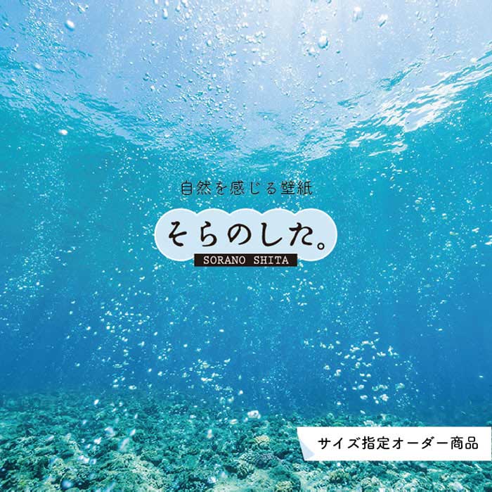 【オーダー壁紙】 壁紙 海の中 水中 ダイビング 写真 おしゃれ 自然 幻想的 貼りやすい デザイン 防カビ 日本製 国産 リメイク 模様替え 店舗 天井 部屋 寝室 キッチン リビング トイレ 風景 景色 ブルー かべがみはるこ そらのした。のサムネイル