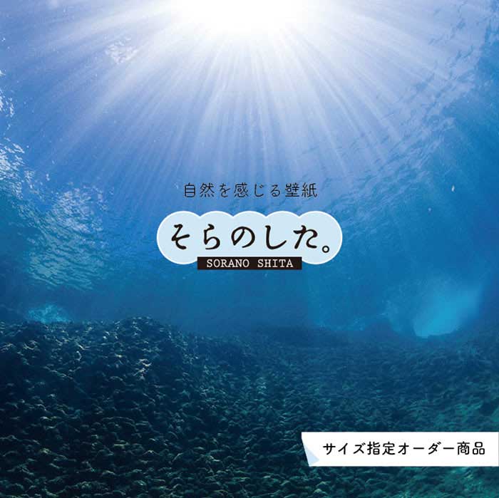Rakuten - 【オーダー壁紙】 壁紙 海の中 水中 ダイビング 写真 おしゃれ 自然 幻想的 貼りやすい デザイン 防カビ 日本製 国産 リメイク 模様替え 店舗 天井 部屋 寝室 キッチン リビング トイレ 風景 景色 ブルー かべがみはるこ そらのした。