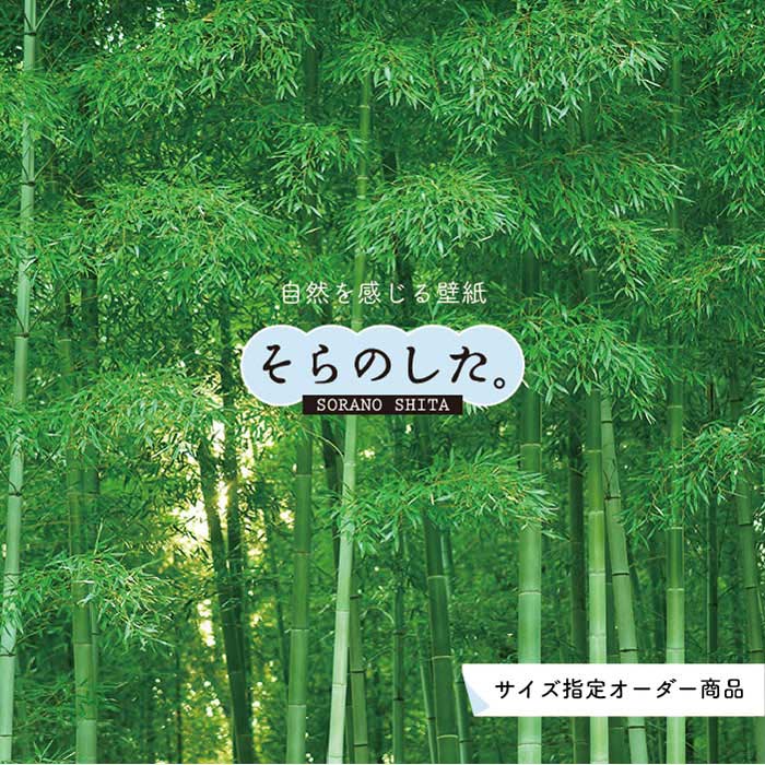 【オーダー壁紙】 壁紙 竹 和風 おしゃれ 写真 自然 木 竹林 癒し 落ち着く 貼りやすい デザイン 防カビ 日本製 国産 リメイク 模様替え 店舗 ホテル 天井 部屋 寝室 キッチン リビング トイレ 風景 景色 グリーン かべがみはるこ そらのした。のサムネイル