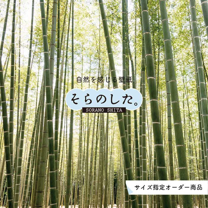 【オーダー壁紙】 壁紙 竹 和風 おしゃれ 写真 自然 木 竹林 癒し 落ち着く 貼りやすい デザイン 防カビ 日本製 国産 リメイク 模様替え 店舗 ホテル 天井 部屋 寝室 キッチン リビング トイレ 風景 景色 グリーン かべがみはるこ そらのした。