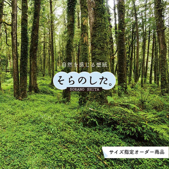 �ڥ��������ɻ�� �ɻ� ���� �̿� ������� ���� ���� Ž��䤹�� �ǥ����� �ɥ��� ������ �� ��ᥤ�� �����ؤ� Ź�� ŷ�� ���� ���� ���å��� ���...