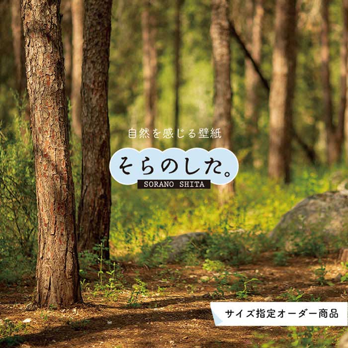 Rakuten - 【オーダー壁紙】 壁紙 森林 写真 おしゃれ 自然 癒し 貼りやすい デザイン 防カビ 日本製 国産 リメイク 模様替え 店舗 天井 部屋 寝室 キッチン リビング トイレ 風景 景色 グリーン かべがみはるこ そらのした。 【ss16906】