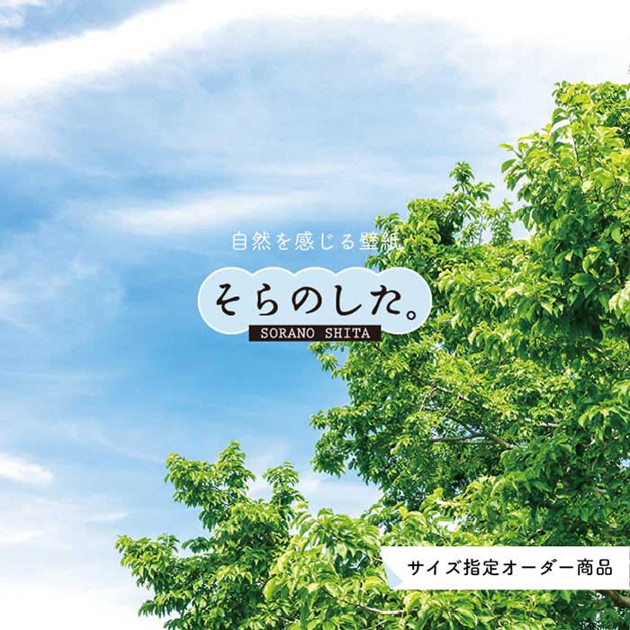 Rakuten - 【オーダー壁紙】 壁紙 森林 写真 おしゃれ 自然 癒し 貼りやすい デザイン 防カビ 日本製 国産 リメイク 模様替え 店舗 天井 部屋 寝室 キッチン リビング トイレ 風景 景色 グリーン かべがみはるこ そらのした。 【ss16911】