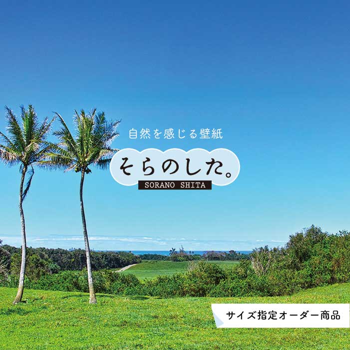 Rakuten - 【オーダー壁紙】 壁紙 ヤシの木 海 写真 おしゃれ 南国風 ハワイアン ビーチ リゾート 海岸 貼りやすい 防カビ 日本製 国産 リメイク 模様替え 店舗 天井 部屋 寝室 キッチン リビング トイレ 風景 景色 ブルー かべがみはるこ そらのした。