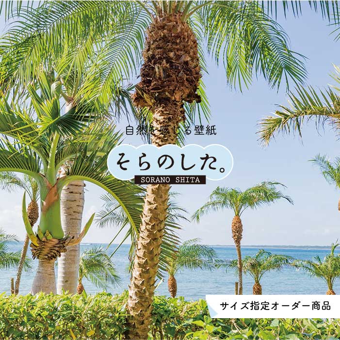 乐天商城 - 【オーダー壁紙】 壁紙 ヤシの木 海 写真 おしゃれ 南国風 ハワイアン ビーチ リゾート 海岸 貼りやすい 防カビ 日本製 国産 リメイク 模様替え 店舗 天井 部屋 寝室 キッチン リビング トイレ 風景 景色 ブルー かべがみはるこ そらのした。