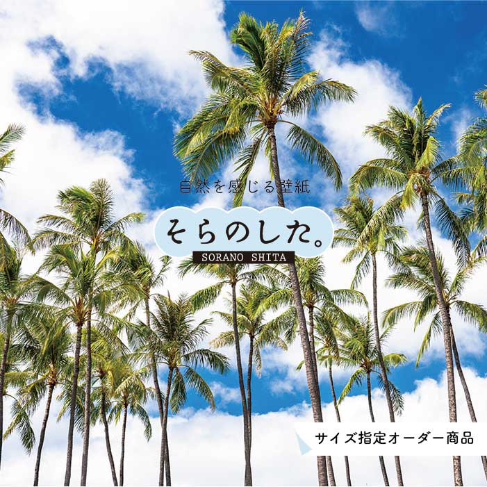 Rakuten - 【オーダー壁紙】 壁紙 ヤシの木 海 写真 おしゃれ 南国風 ハワイアン ビーチ リゾート 海岸 貼りやすい 防カビ 日本製 国産 リメイク 模様替え 店舗 天井 部屋 寝室 キッチン リビング トイレ 風景 景色 ブルー かべがみはるこ そらのした。
