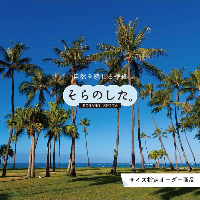 【オーダー壁紙】 壁紙 ヤシの木 海 写真 おしゃれ 南国風 ハワイアン ビーチ リゾート 海岸 貼りやすい 防カビ 日本製 国産 リメイク 模様替え 店舗 天井 部屋 寝室 キッチン リビング トイレ 風景 景色 ブルー かべがみはるこ そらのした。