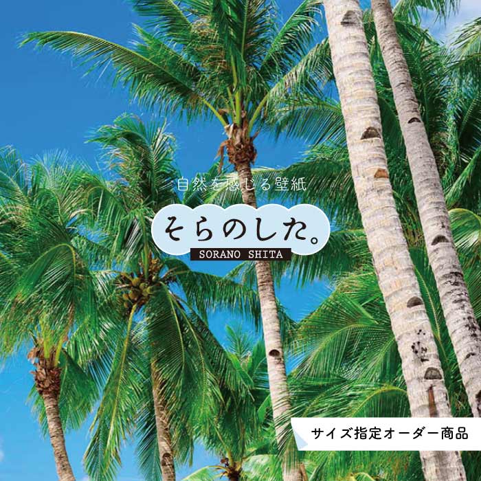 Rakuten - 【オーダー壁紙】 壁紙 ヤシの木 海 写真 おしゃれ 南国風 ハワイアン ビーチ リゾート 海岸 貼りやすい 防カビ 日本製 国産 リメイク 模様替え 店舗 天井 部屋 寝室 キッチン リビング トイレ 風景 景色 ブルー かべがみはるこ そらのした。