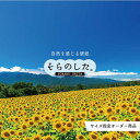 【オーダー壁紙】 壁紙 写真 花 植物 おしゃれ ひまわり 空 雲 夏 ボタニカル 貼りやすい 自然 防カビ 日本製 国産 リメイク 模様替え 店 天井 部屋 寝室 キッチン リビング トイレ 風景 景色 かべがみはるこ そらのした。