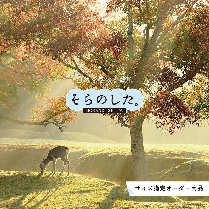 Rakuten - 【オーダー壁紙】 壁紙 紅葉 秋 季節 森林 写真 おしゃれ 自然 貼りやすい デザイン 防カビ 日本製 国産 リメイク 模様替え 店 天井 部屋 寝室 キッチン リビング トイレ 秋景 景色 赤 黄 かべがみはるこ そらのした。 【ss17000】