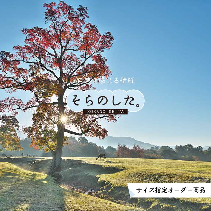 Rakuten - 【オーダー壁紙】 壁紙 紅葉 秋 季節 森林 写真 おしゃれ 自然 貼りやすい デザイン 防カビ 日本製 国産 リメイク 模様替え 店 天井 部屋 寝室 キッチン リビング トイレ 秋景 景色 赤 黄 かべがみはるこ そらのした。 【ss17002】