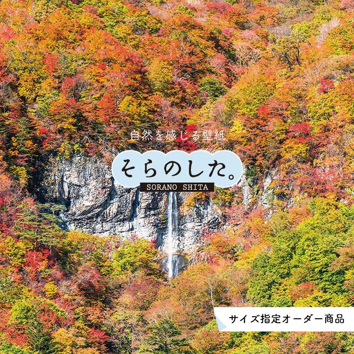 乐天商城 - 【オーダー壁紙】 壁紙 紅葉 秋 季節 森林 写真 おしゃれ 自然 貼りやすい デザイン 防カビ 日本製 国産 リメイク 模様替え 店 天井 部屋 寝室 キッチン リビング トイレ 秋景 景色 赤 黄 かべがみはるこ そらのした。 【ss17003】