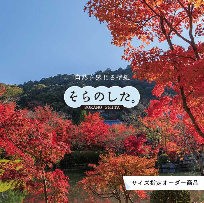Rakuten - 【オーダー壁紙】 壁紙 紅葉 秋 季節 森林 写真 おしゃれ 自然 貼りやすい デザイン 防カビ 日本製 国産 リメイク 模様替え 店 天井 部屋 寝室 キッチン リビング トイレ 秋景 景色 赤 黄 かべがみはるこ そらのした。 【ss17004】
