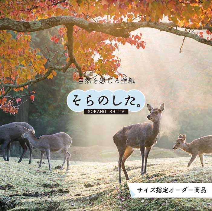 Rakuten - 【オーダー壁紙】 壁紙 動物 鹿 秋 紅葉 森林 写真 おしゃれ 貼りやすい デザイン 防カビ 国産 日本製 リメイク 模様替え 店 天井 部屋 寝室 キッチン リビング トイレ 風景 景色 かべがみはるこ そらのした。