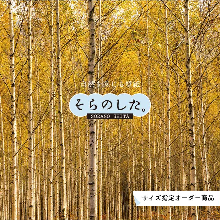 【オーダー壁紙】 壁紙 紅葉 秋 季節 森林 写真 おしゃれ 自然 貼りやすい デザイン 防カビ 日本製 国産 リメイク 模様替え 店 天井 部屋 寝室 キッチン リビング トイレ 秋景 景色 赤 黄 かべがみはるこ そらのした。 【ss17008】