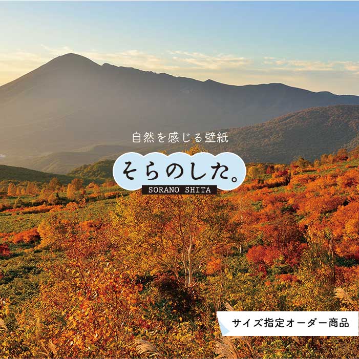 Rakuten - 【オーダー壁紙】 壁紙 紅葉 秋 季節 森林 写真 おしゃれ 自然 貼りやすい デザイン 防カビ 日本製 国産 リメイク 模様替え 店 天井 部屋 寝室 キッチン リビング トイレ 秋景 景色 赤 黄 かべがみはるこ そらのした。 【ss17012】