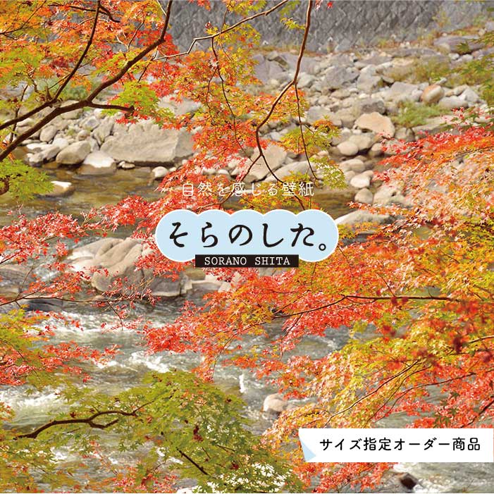 �ڥ��������ɻ�� �ɻ� ���� �� ���� ���� �̿� ������� ���� Ž��䤹�� �ǥ����� �ɥ��� ������ �� ��ᥤ�� �����ؤ� Ź ŷ�� ���� ���� ���å�...