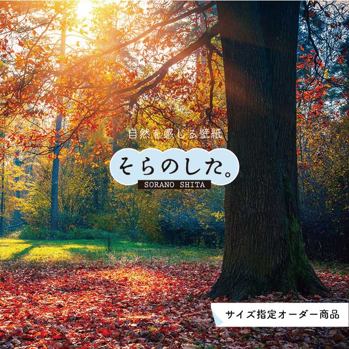 Rakuten - 【オーダー壁紙】 壁紙 紅葉 秋 季節 森林 写真 おしゃれ 自然 貼りやすい デザイン 防カビ 日本製 国産 リメイク 模様替え 店 天井 部屋 寝室 キッチン リビング トイレ 秋景 景色 赤 黄 かべがみはるこ そらのした。 【ss17024】