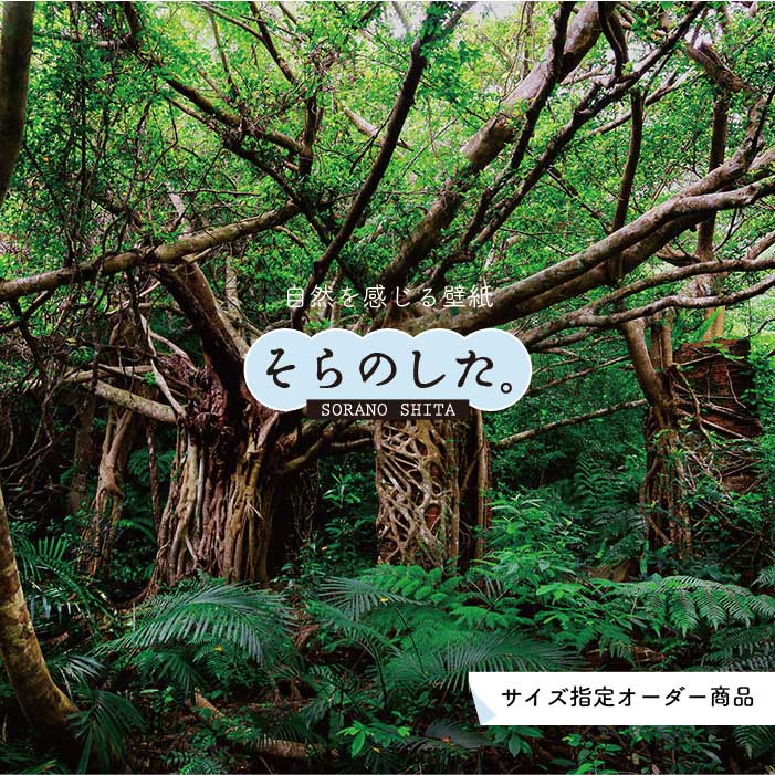 乐天商城 - 【オーダー壁紙】 壁紙 ジャングル 森 森林 写真 おしゃれ 自然 癒し 貼りやすい デザイン 防カビ 日本製 国産 リメイク 模様替え 店舗 天井 部屋 寝室 キッチン リビング トイレ 風景 景色 グリーン かべがみはるこ そらのした。 【ss17034】