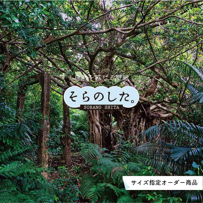 Rakuten - 【オーダー壁紙】 壁紙 ジャングル 森 森林 写真 おしゃれ 自然 癒し 貼りやすい デザイン 防カビ 日本製 国産 リメイク 模様替え 店舗 天井 部屋 寝室 キッチン リビング トイレ 風景 景色 グリーン かべがみはるこ そらのした。 【ss17035】
