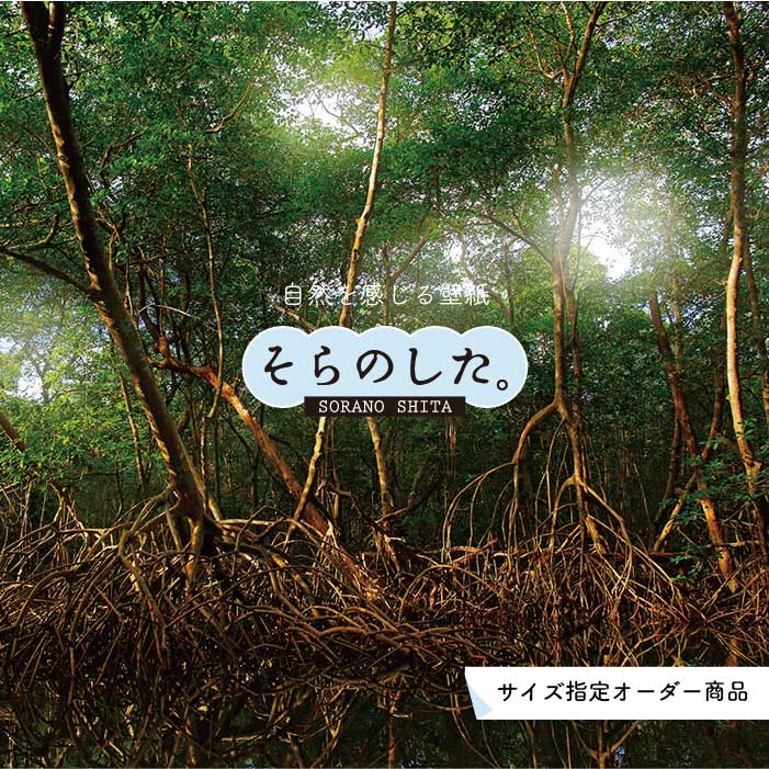 【オーダー壁紙】 壁紙 ジャングル 森 森林 写真 おしゃれ 自然 癒し 貼りやすい デザイン 防カビ 日本製 国産 リメイク 模様替え 店舗 天井 部屋 寝室 キッチン リビング トイレ 風景 景色 グリーン かべがみはるこ そらのした。 【ss17036】
