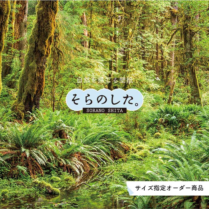 Rakuten - 【オーダー壁紙】 壁紙 ジャングル 森 森林 写真 おしゃれ 自然 癒し 貼りやすい デザイン 防カビ 日本製 国産 リメイク 模様替え 店舗 天井 部屋 寝室 キッチン リビング トイレ 風景 景色 グリーン かべがみはるこ そらのした。 【ss17038】